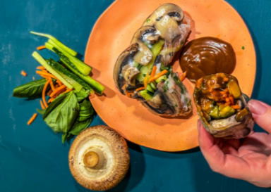 Vegan Spring Rolls