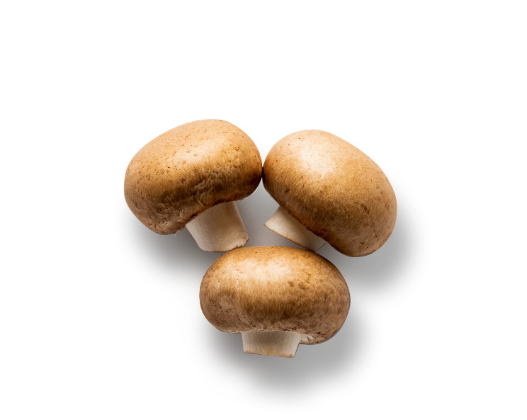 Mini Bella Mushrooms