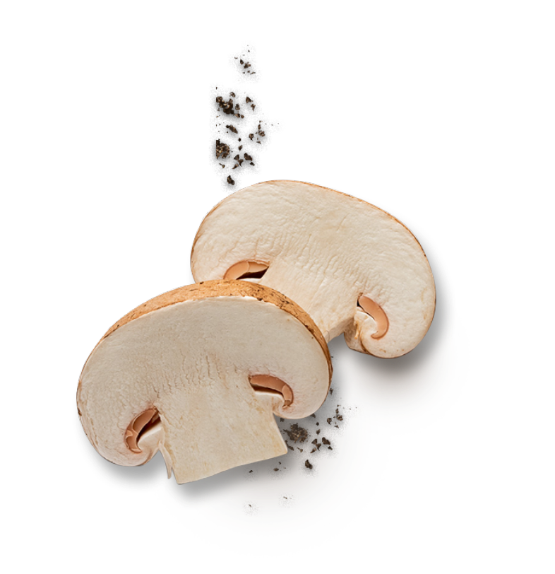 Mushroom Recipes Highline Mushrooms