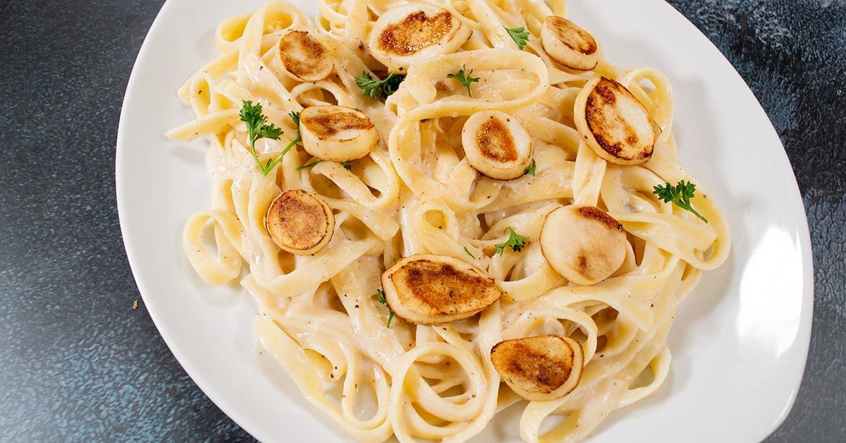 Mushroom “Scallop” Fettucine | Recipe | Highline Mushrooms