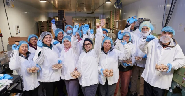 Since 1961, our journey has been fueled by family values, innovation, and a dedicated team. 

Our associates are the heart of Highline Mushrooms, driving our passion and success in delivering high-quality, nutritious mushrooms to you and your families every single day. 

Learn more about our story at the link in bio.

#sustainableag #mushrooms #farming #agriculture #employeeappreciation