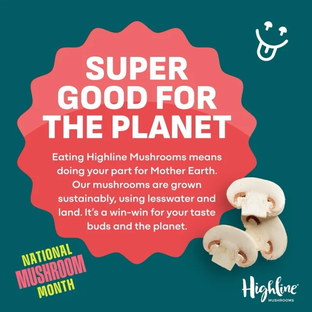 Highline Mushrooms: 

Super Good for you ❤️ 

Super Good for the planet! 💚 

Super Delicious. 💙 

Learn more at the link in bio. 

#Sustainability #Agriculture #Mushrooms #organic # #natural #vegan #healthylifestyle #health #food #healthyfood #plantbased